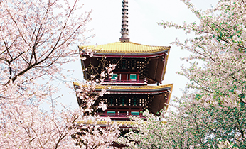 �人