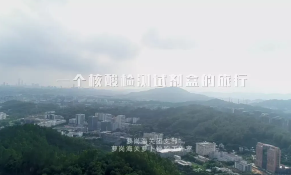 pp����(�й���)�ٷ���վ