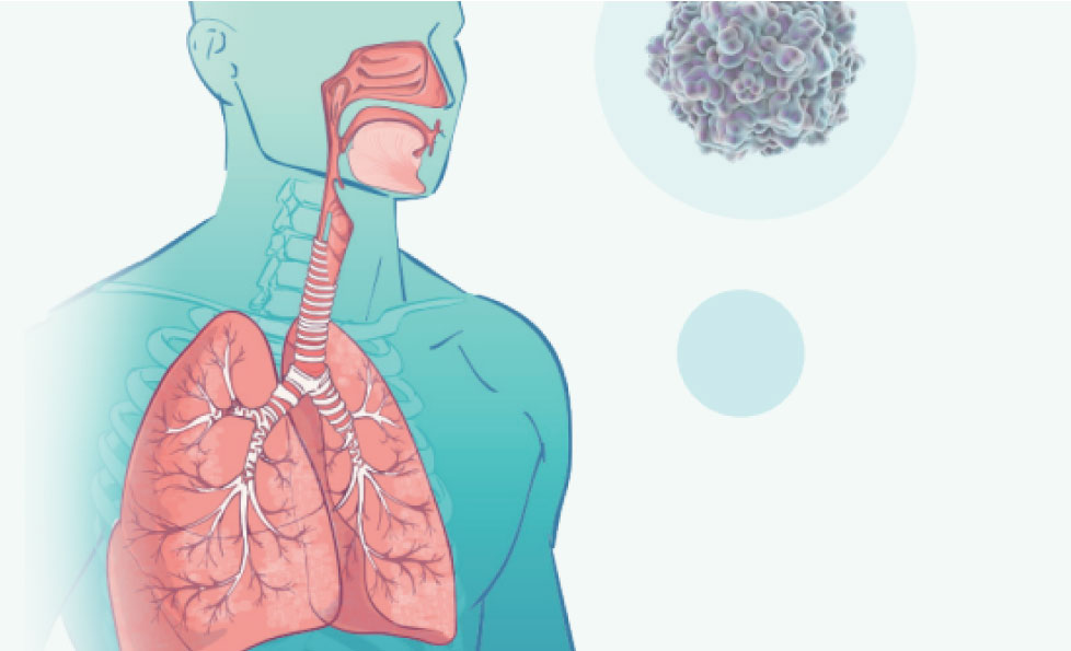 pp����(�й���)�ٷ���վ