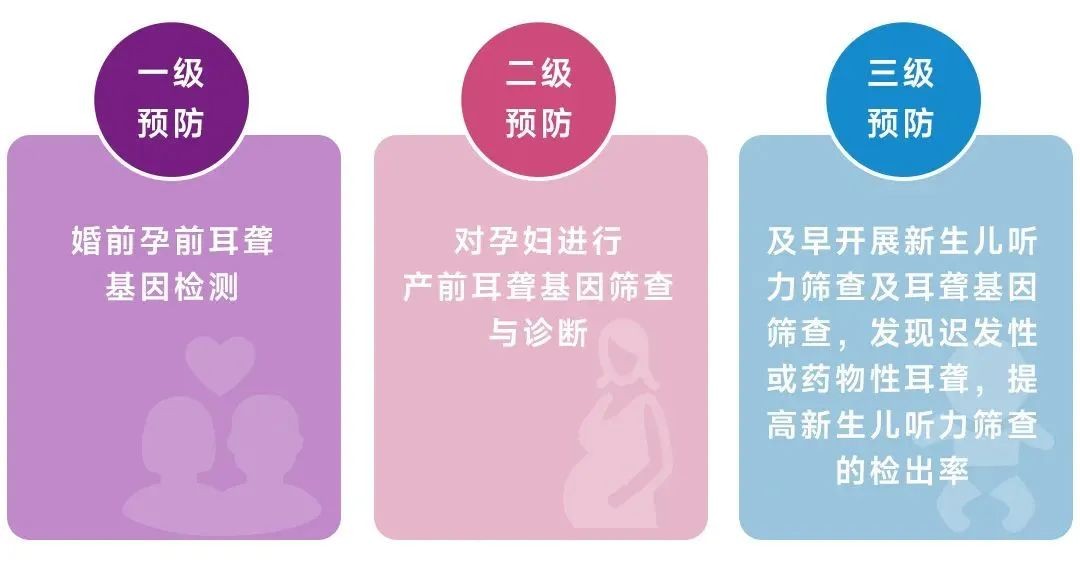 pp����(�й���)�ٷ���վ