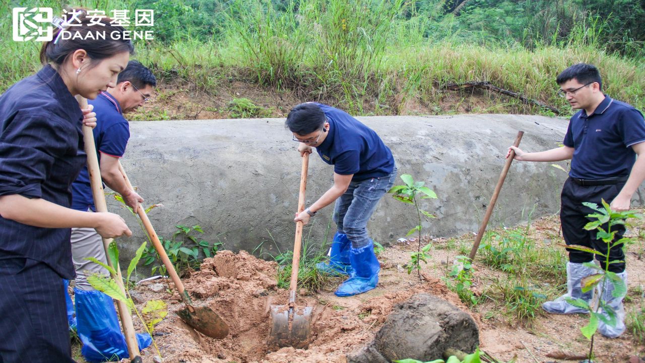 pp����(�й���)�ٷ���վ