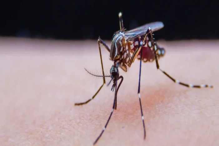 pp����(�й���)�ٷ���վ